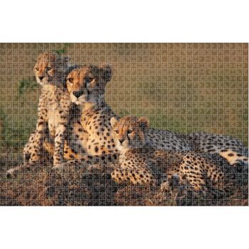 Παζλ Τσιτάχ ANIMAL PLANET - 1000 τμχ